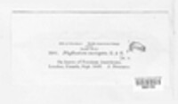 Image Associated With the Occurence